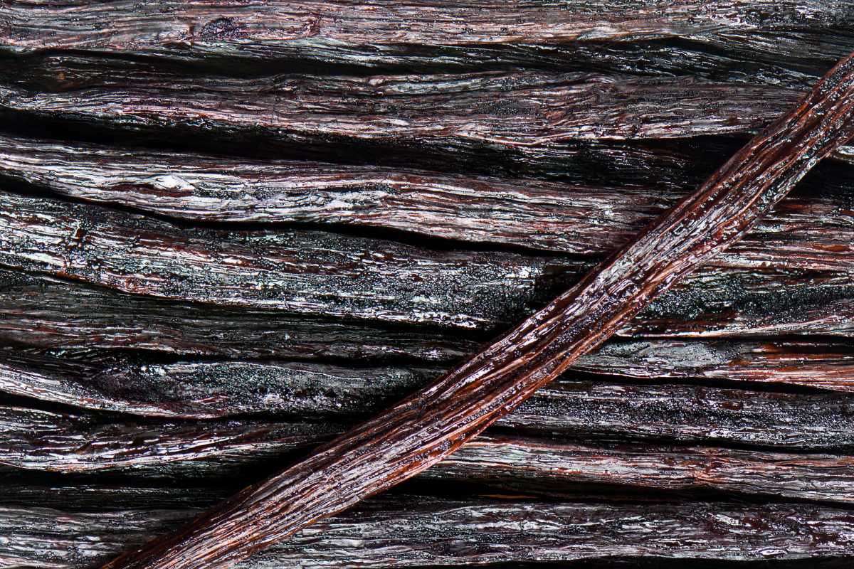 Obtain Grade A Bulk Vanilla Beans Near Me Indonesian Vanilla Beans