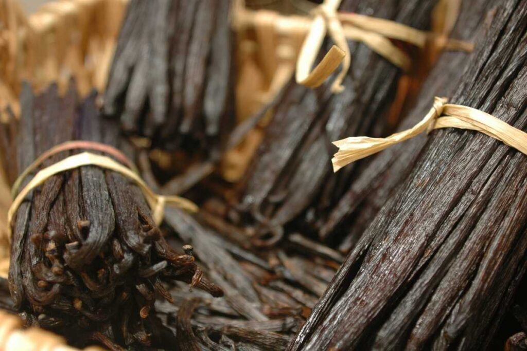 Vanilla Beans Indonesia