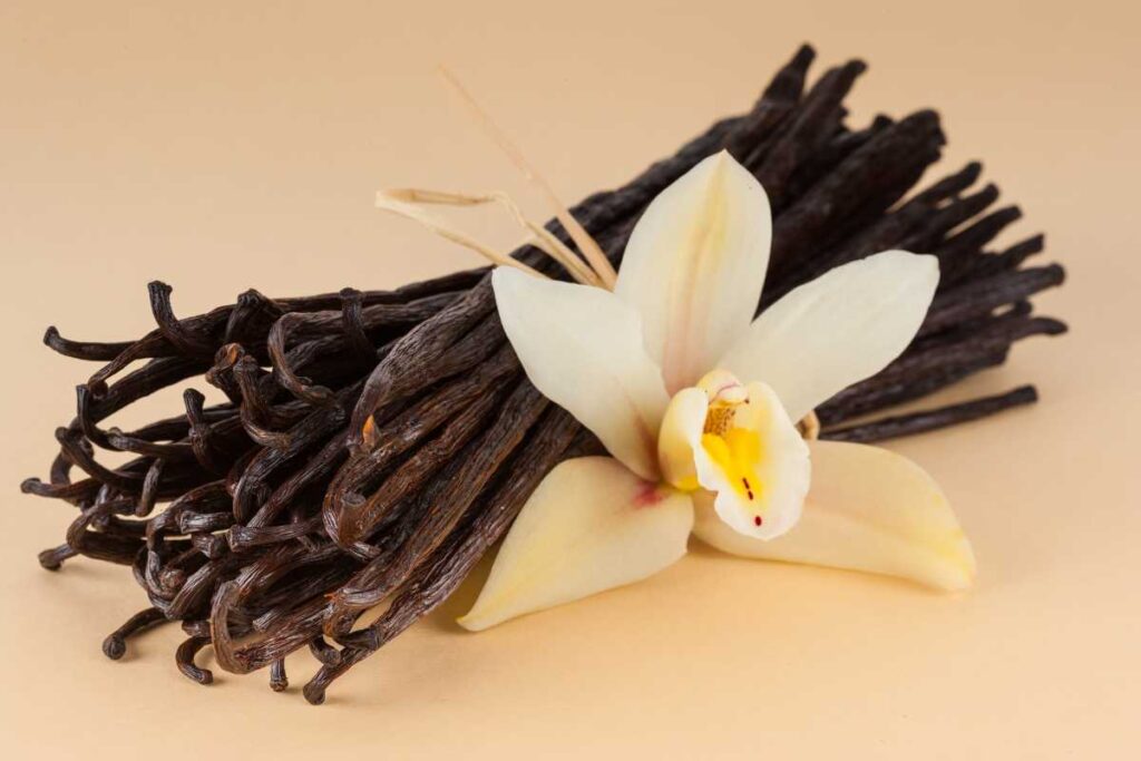 Cost of Vanilla Beans