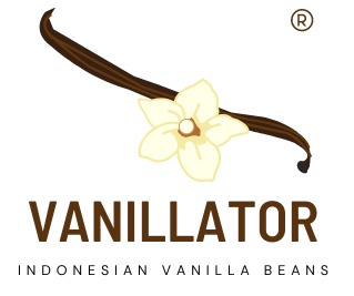 Logo vanillator