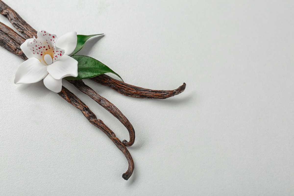 How Much Are Vanilla Beans? A Comprehensive Buying Guide & Pricing for