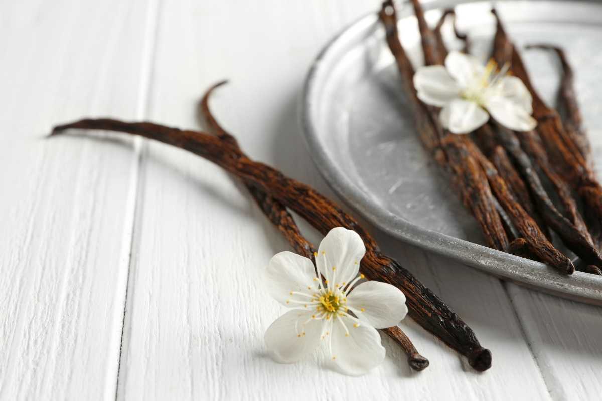 How to Store Vanilla Beans: Effective Tips for Maintaining Optimum ...