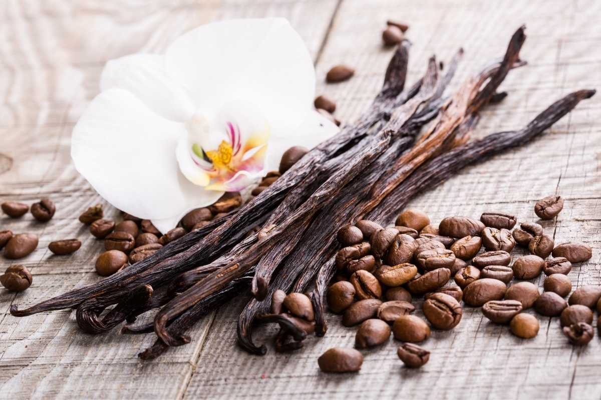 How To Use Vanilla Beans Master The Art Of Infusing Flavor With These