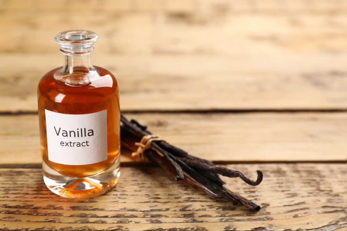 Top 3 Vanilla Beans for Extract The Best Guide For You in 2023