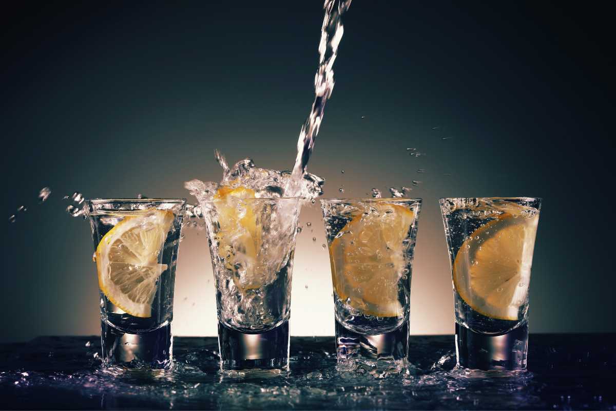 Craft Your Own Vanilla Beans In Vodka Best Simple Guide In 2023