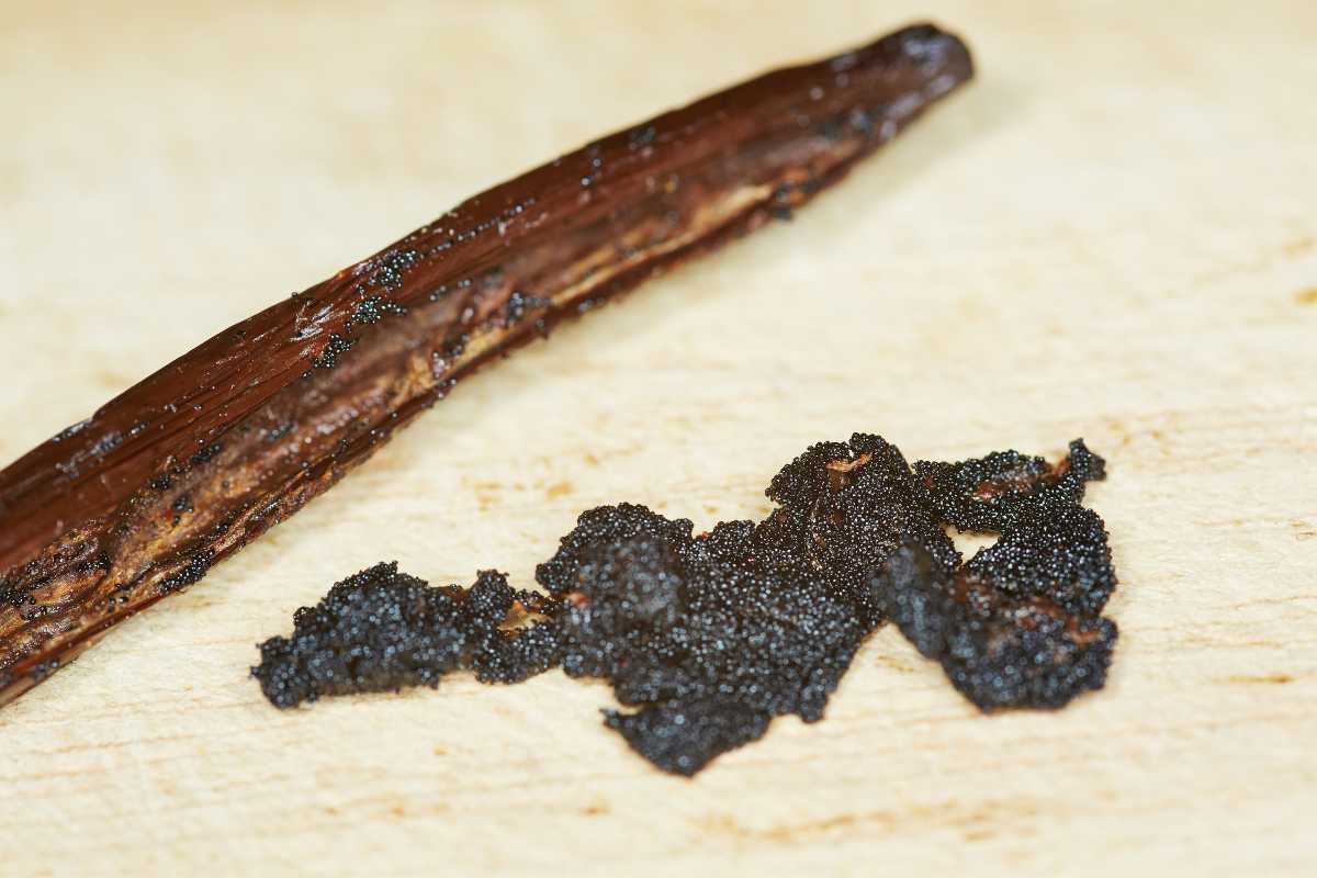 Vanilla Beans Seed Online Your Best Guide to Tahitian & Madagascar