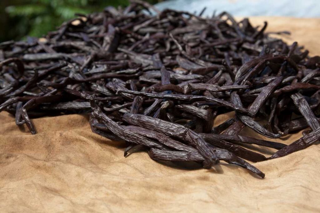 vanilla beans tahitian