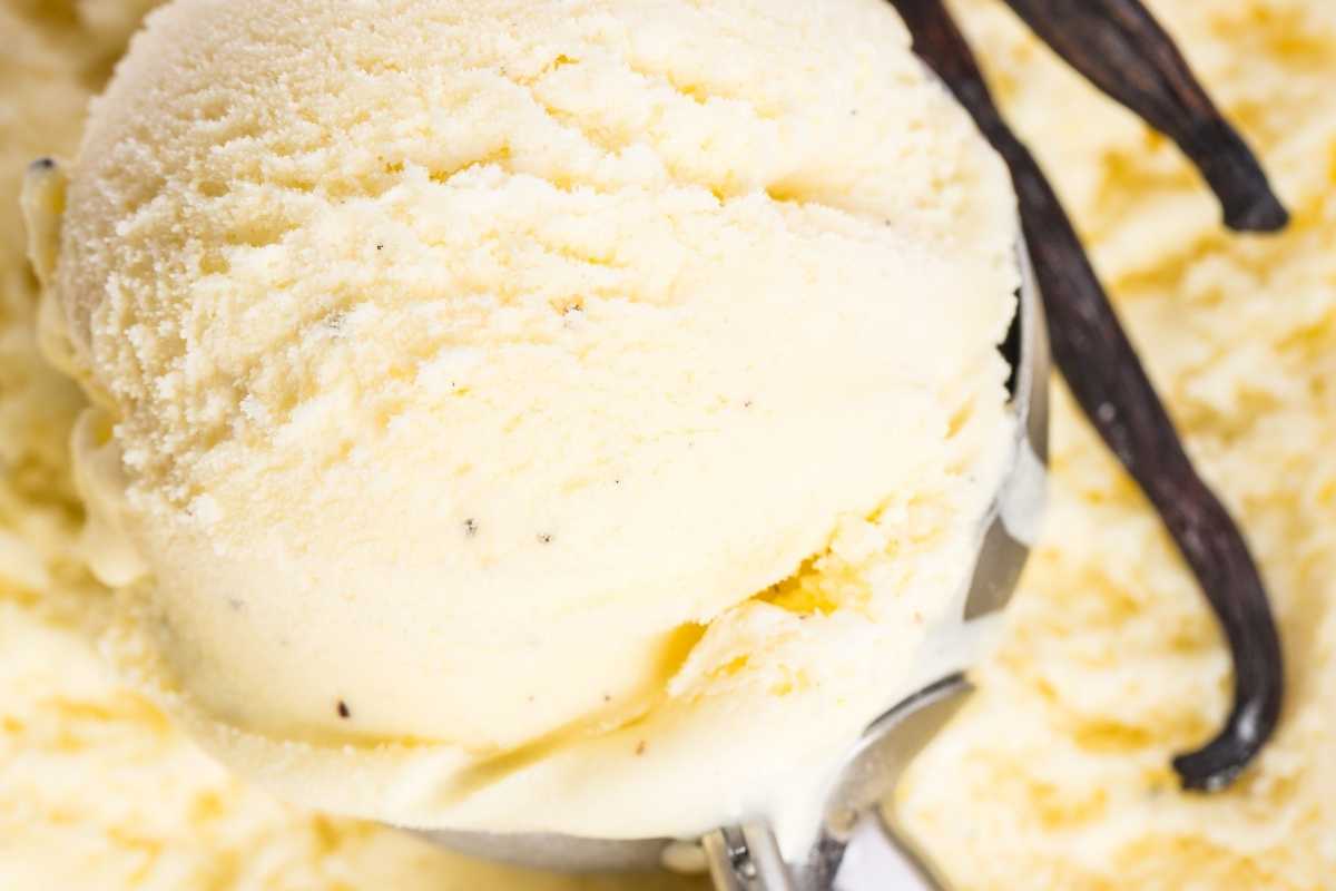 Vanilleeis selber machen - Grundrezept für Eisfans - Indonesian Vanilla ...