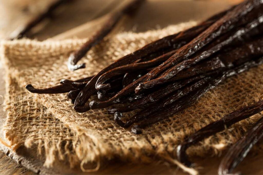 organic vanilla beans bulk