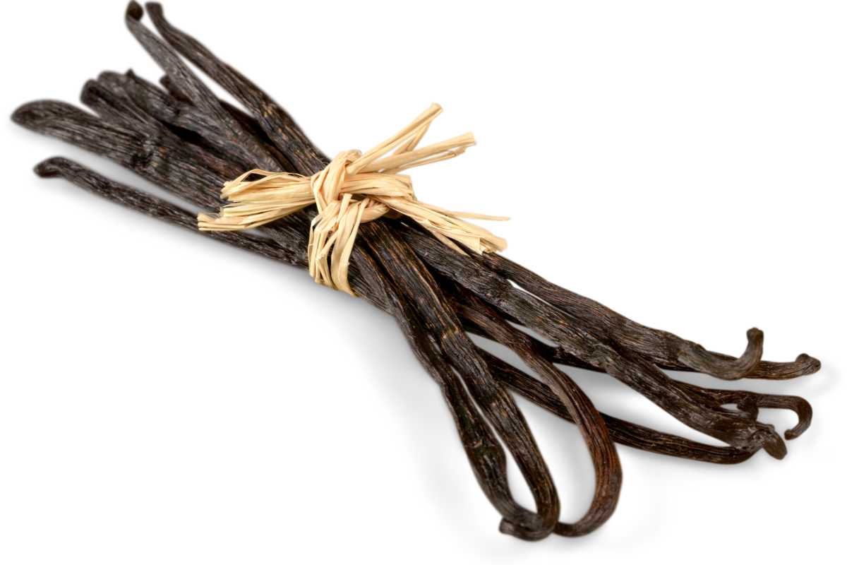 Purchase High-Quality Vanilla Beans Bali Online - Indonesian Vanilla ...