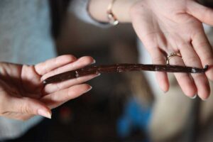 vanilla beans fair trade