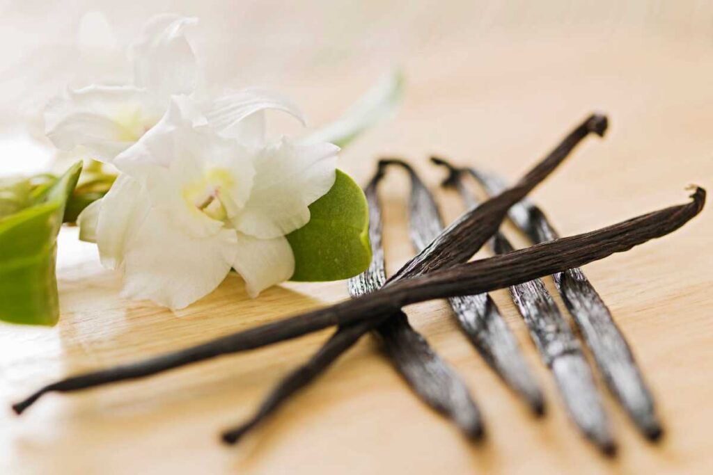 vanilla beans origin