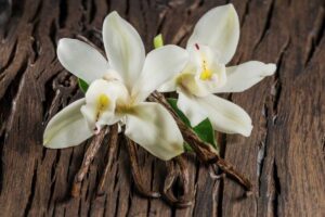vegan vanilla beans
