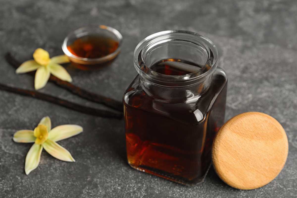 Best Bourbon for Vanilla Extract 2023's Top 10 Brands Indonesian