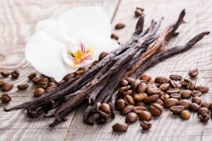 best quality vanilla beans