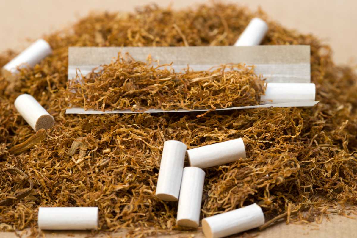 prop 56 tobacco California Proposition 56 News Feed from C.A.R.T