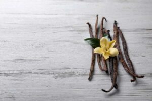 how to grow vanilla beans from seed