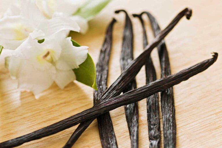 How to Grow Vanilla Orchids: Essential Tips for Harvesting Beans ...