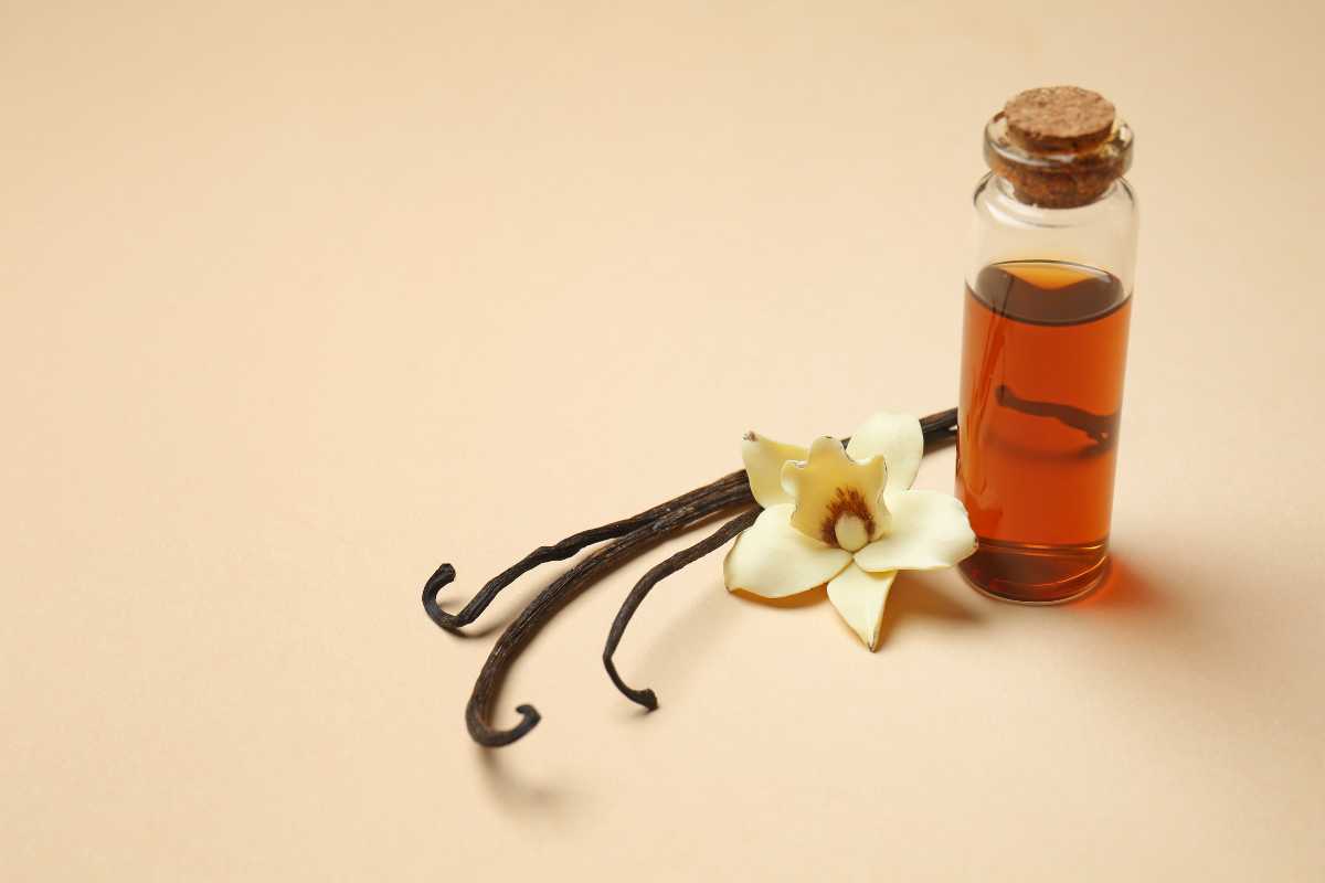 how to make vanilla bean syrup