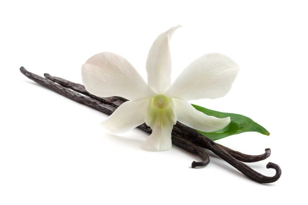 how to scrape a vanilla bean