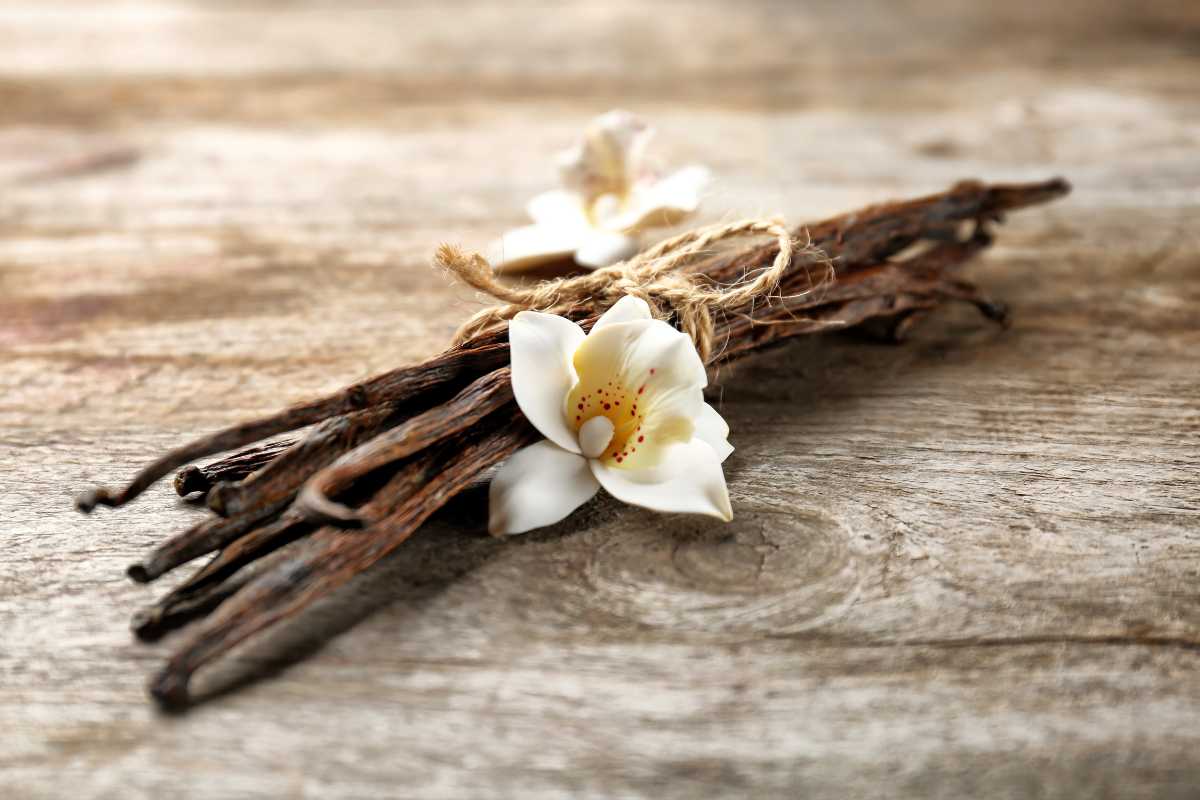How To Store Vanilla Bean Pods Ultimate Freshness Guide Indonesian