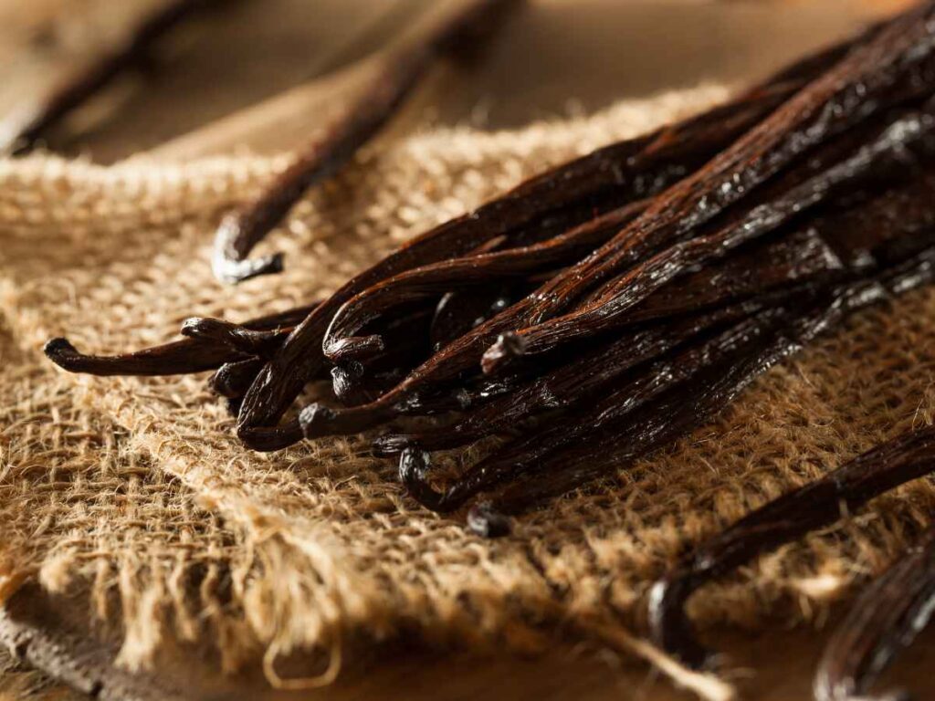 The Ultimate Guide to Bulk Ordering Vanilla Beans: Everything You Need ...