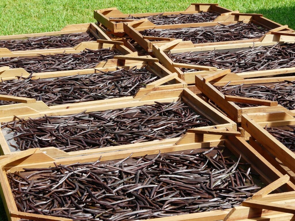 gourmet vanilla beans wholesale