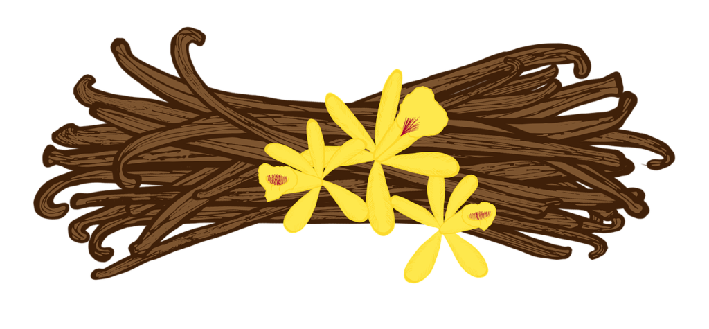buy gourmet vanilla beans