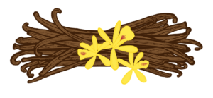 buy gourmet vanilla beans